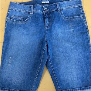 Tommy Hilfiger Classic Blue Jeans